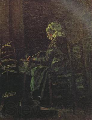 Vincent Van Gogh Peasant Woman at the Spinning Wheel (nn04)